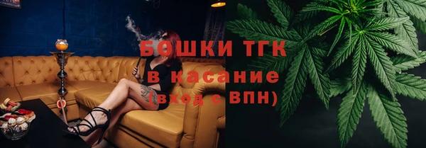 шишки Нея