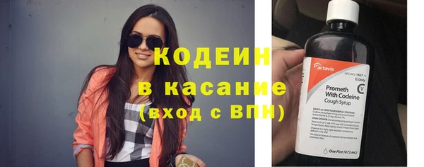 шишки Нея