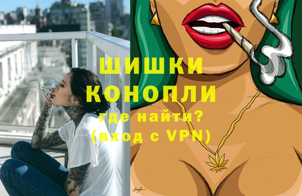 шишки Нея