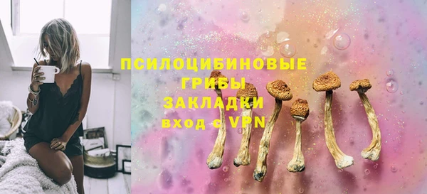 шишки Нея