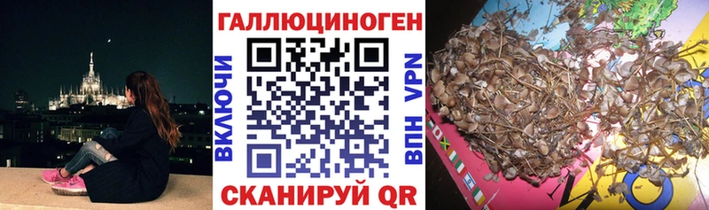 Псилоцибиновые грибы мухоморы  Суоярви 